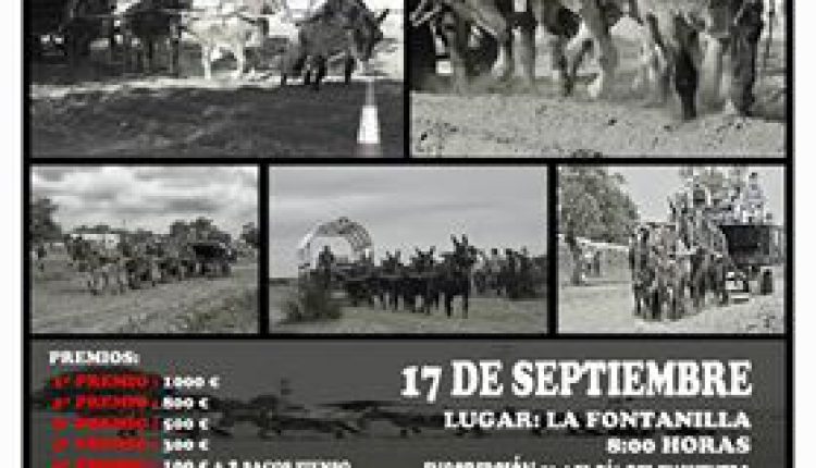 Hermandad de Palos – 1º Concurso de Mulos a la Carga