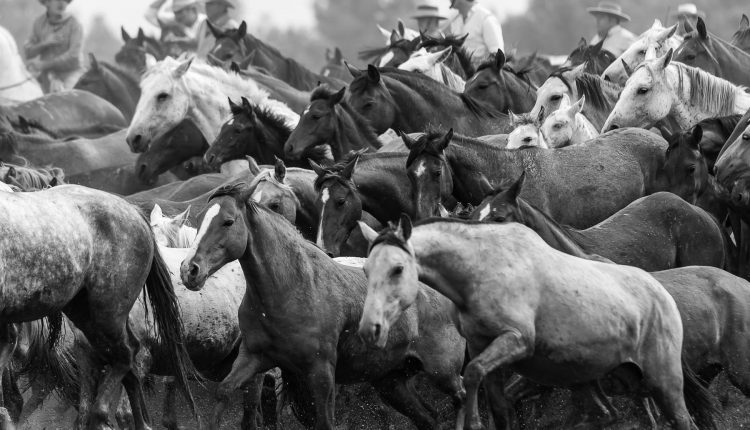 A vueltas con las Yeguas, por Santiago Padilla