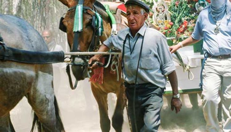 Peregrinaciones Extraordinarias del domingo 8 de octubre de 2023 – Misas en Directo