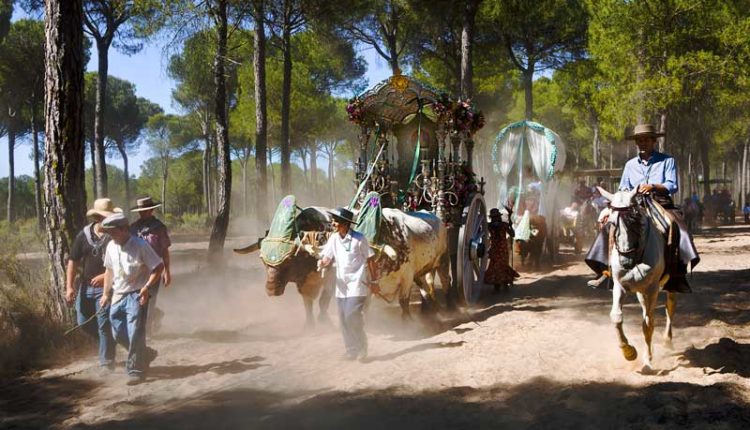 Peregrinaciones Extraordinarias de las Hermandades del Rocío del  domingo 28 de enero de 2018