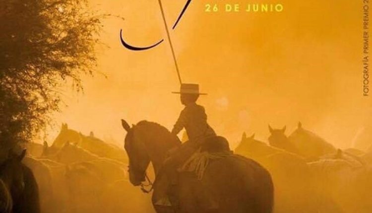 Saca de las Yegüas en el Rocío 2019
