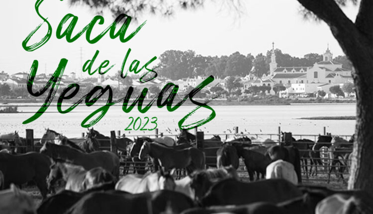 La Saca de las yeguas – Programa y Horarios Saca 2023